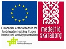 Medeltid skaraborg